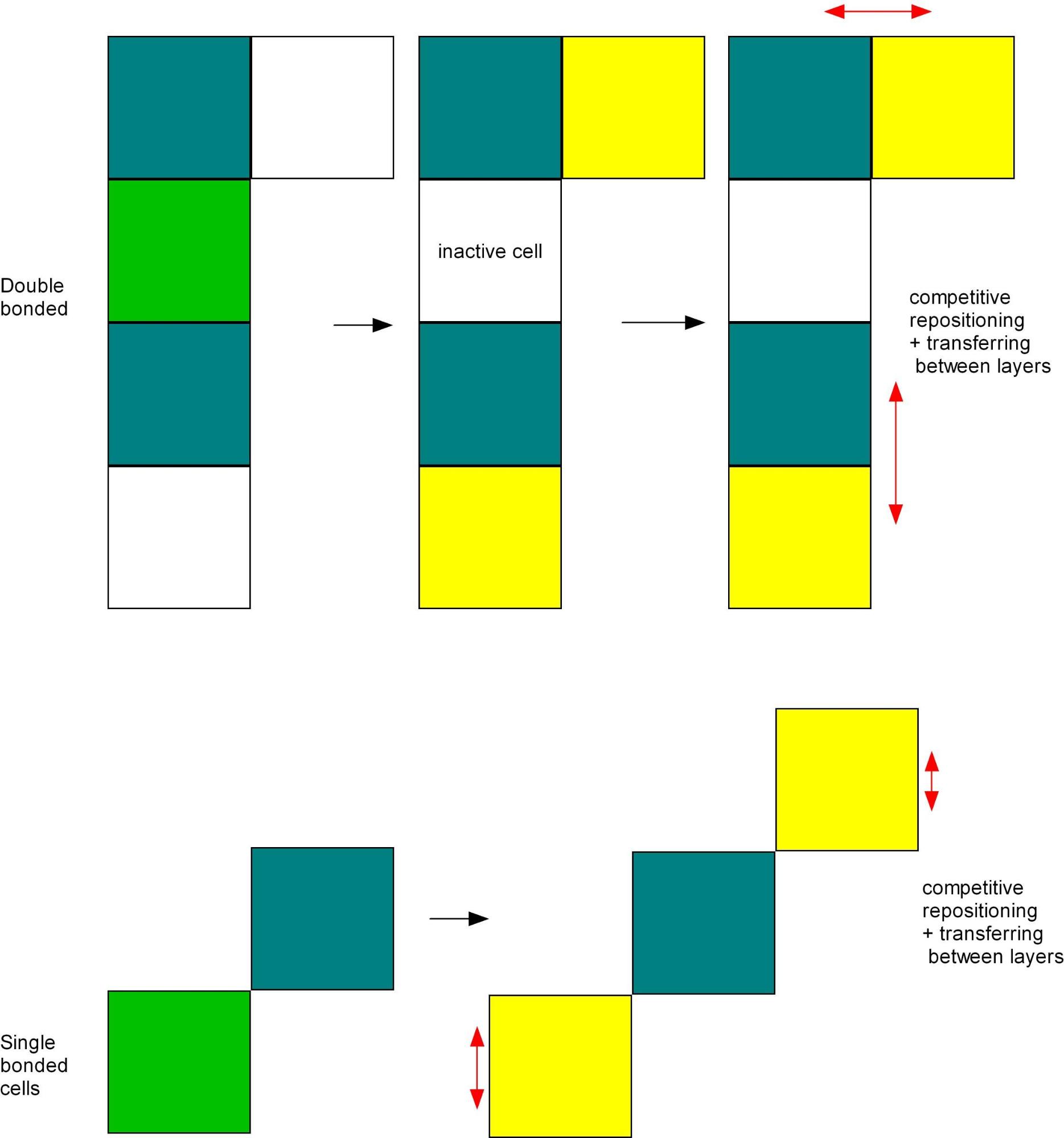 Fig_21.jpg