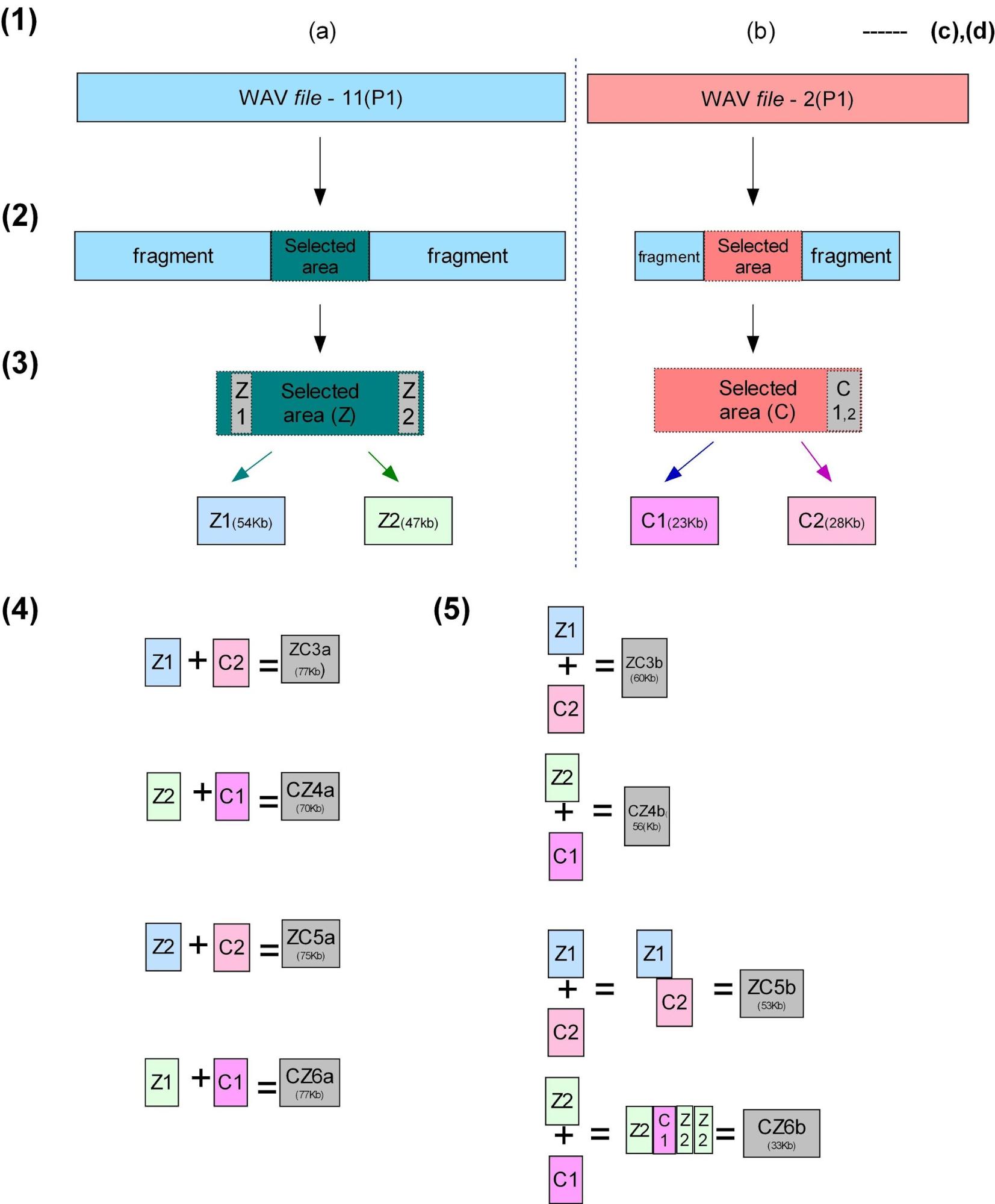 Fig11-Demonstrating-selection.jpg