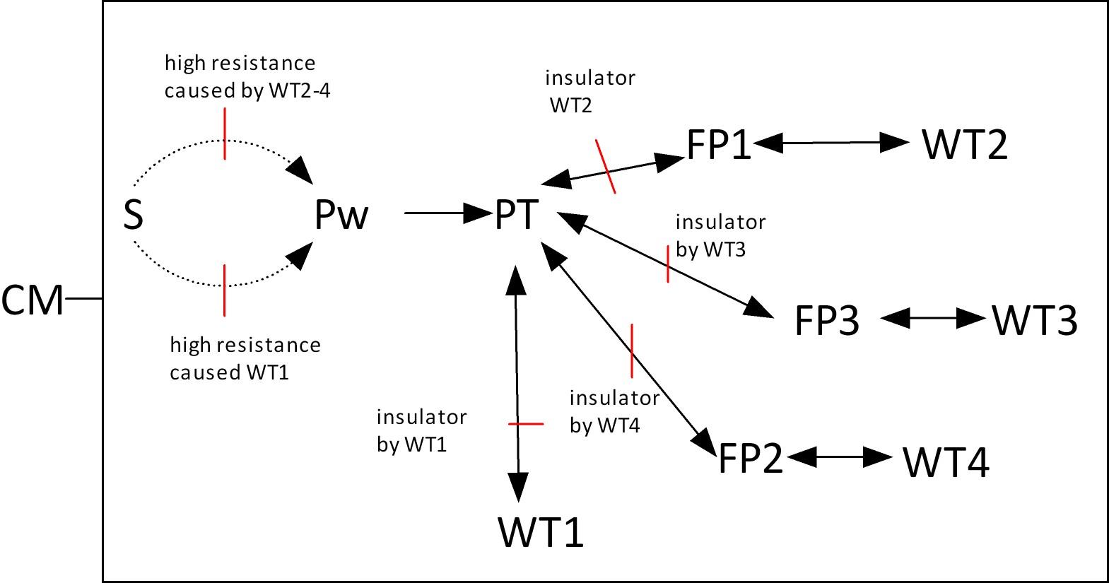 image1.jpg
