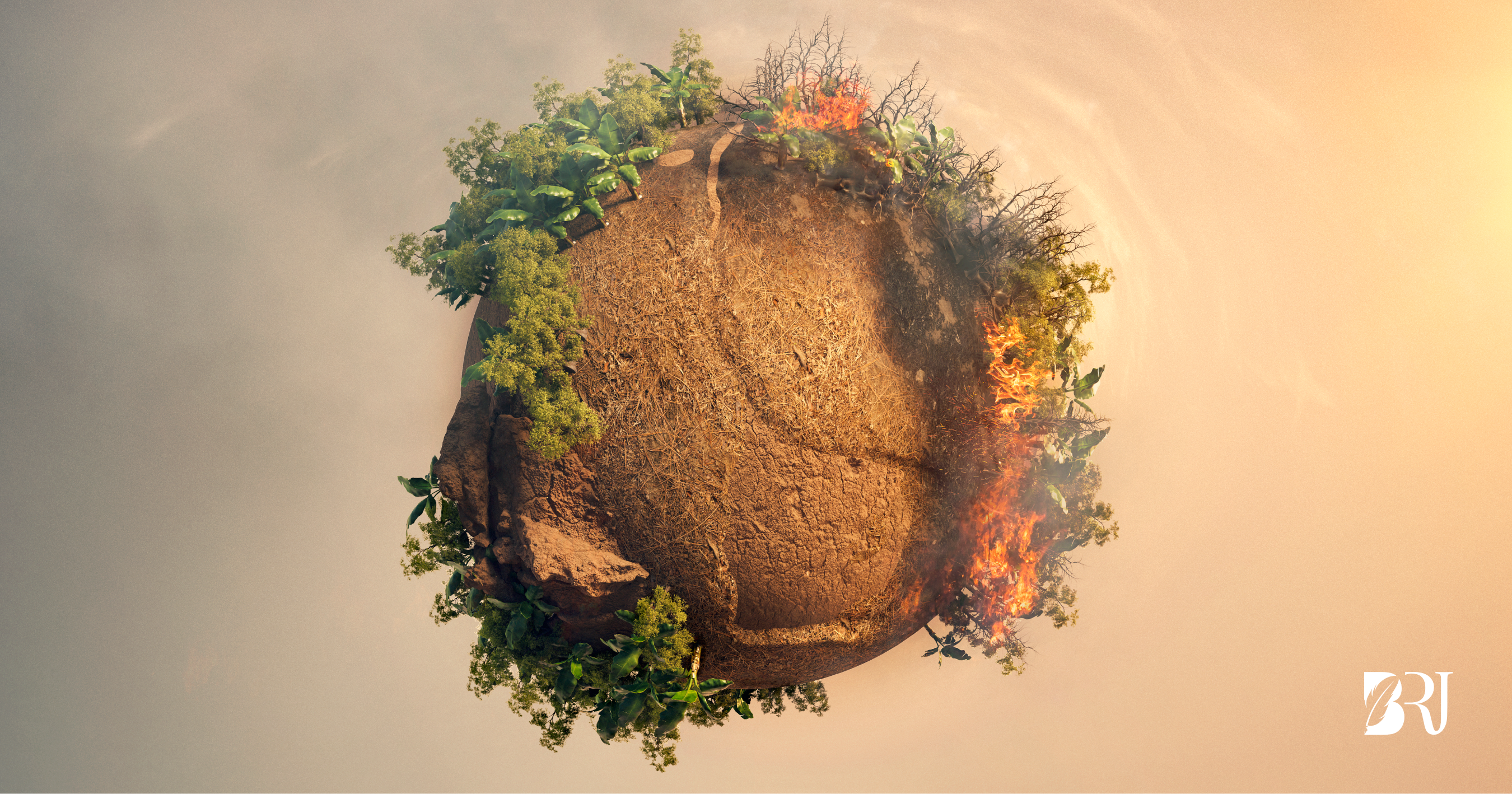 Impact of Climate Change on Biodiversity